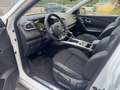 Renault Kadjar 1.5 dci energy Intens 110cv AUTOMATICA-UNICO PROPR Bianco - thumbnail 12