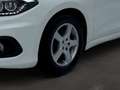 Fiat Tipo 1,3 MultiJet II 95 Easy Weiß - thumbnail 13
