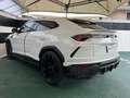 Lamborghini Urus 4.0 Weiß - thumbnail 4