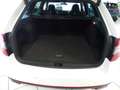 Skoda Octavia RS Blanc - thumbnail 7