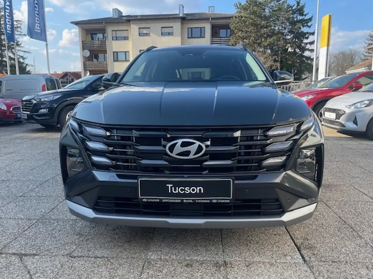 Hyundai TUCSON Tucson 1,6 T-GDI HEV 2WD Jubilé Aut. Grün - 2