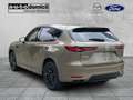 Mazda CX-60 Homura Plus AWD Bose / 360° Kamera Grün - thumbnail 4