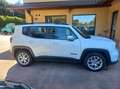Jeep Renegade Renegade 2019 1.0 t3 Limited 2wd Blanc - thumbnail 10