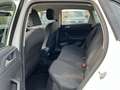 Volkswagen Polo 1.0 TSI Comfortline AHK+SHZ+MFL Klima Sitzheizung Weiß - thumbnail 9