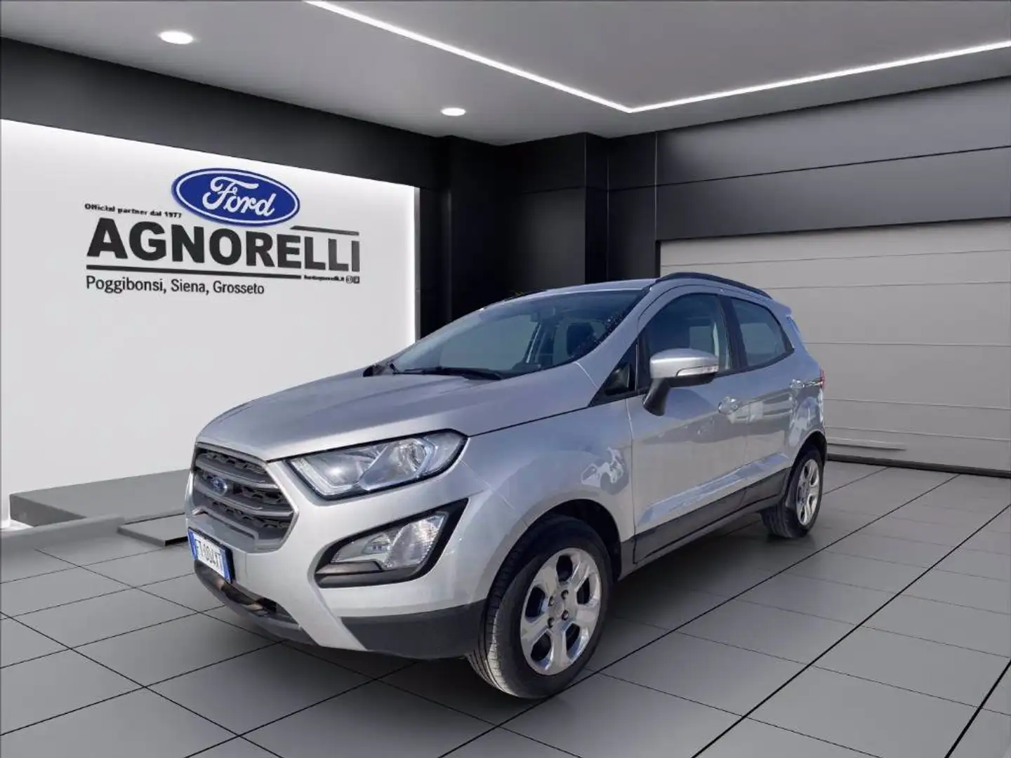 Ford EcoSport 1.0 EcoBoost 125 CV Start&Stop Plus Grigio - 1