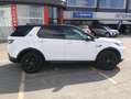 Land Rover Discovery Sport 2.0D I4-L.Flw 150 CV AWD Auto S Weiß - thumbnail 14