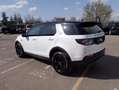 Land Rover Discovery Sport 2.0D I4-L.Flw 150 CV AWD Auto S Weiß - thumbnail 20