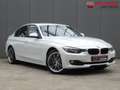BMW 316 3-serie 316i Executive * PDC * LM VELGEN * VERW. S White - thumbnail 2