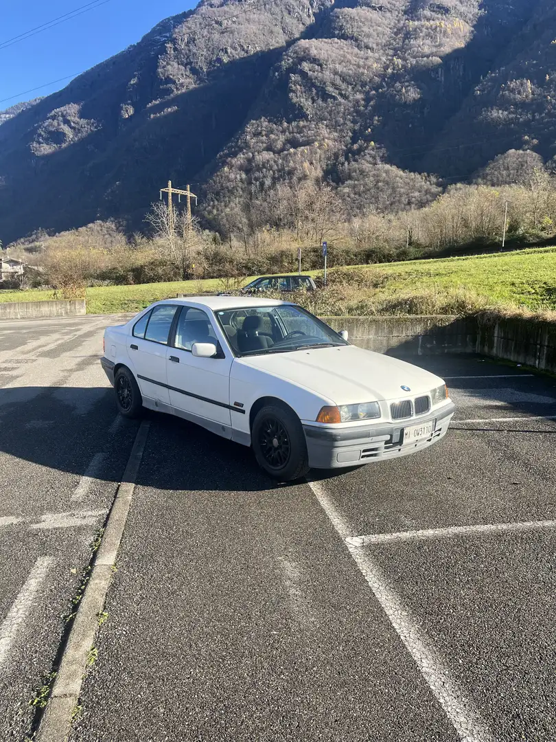 BMW 318 318i Bianco - 1