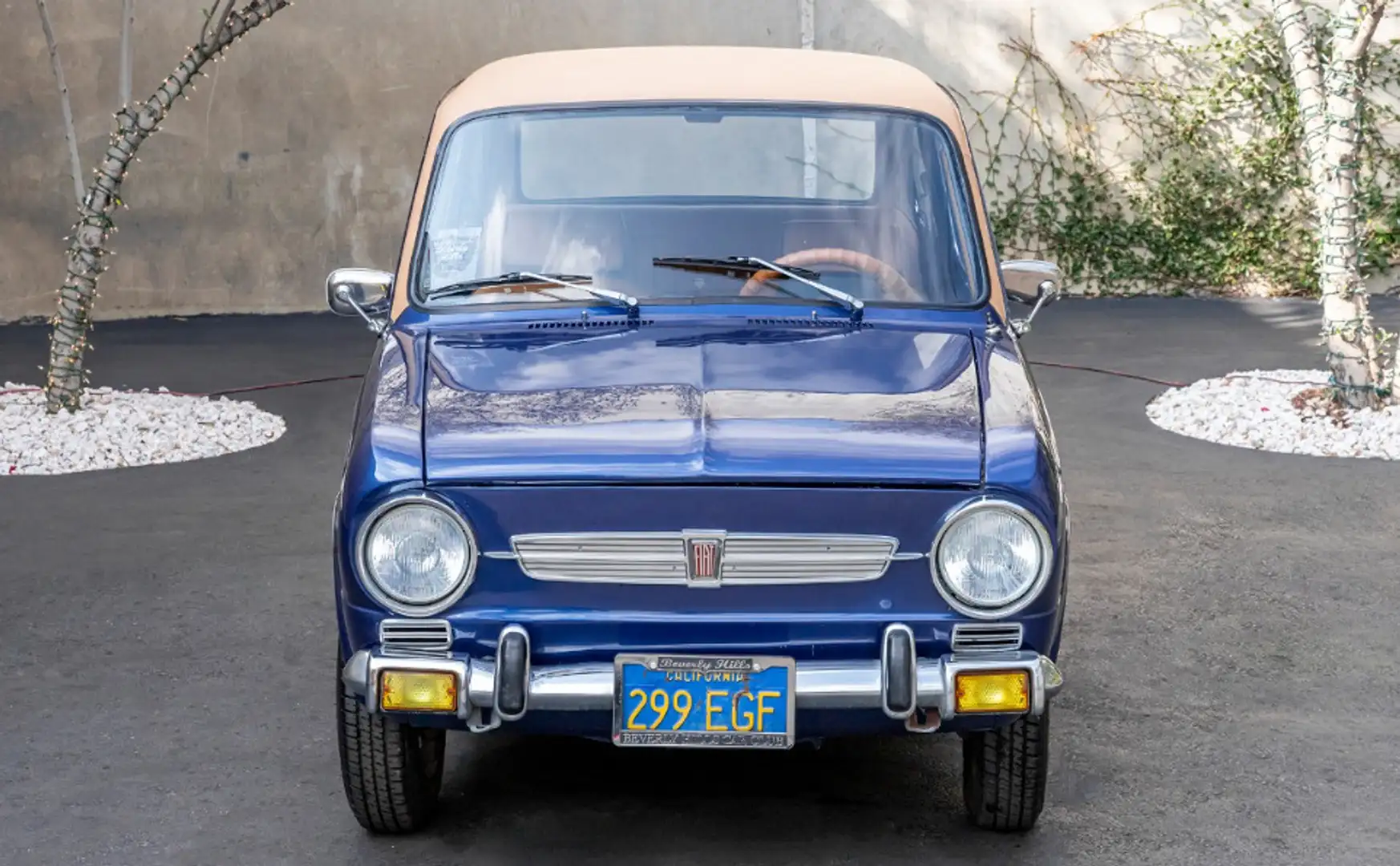 Fiat 850 ROYAL BLUE - 2