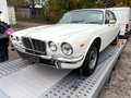 Oldtimer Jaguar XJ 6 Serie 2 Weiß - thumbnail 1