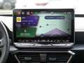 CUPRA Leon Sp TSI 1.5 eTSI 110 kW DSG NAVI PANO AHK Grau - thumbnail 12