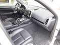 Porsche Cayenne Diesel Aut. Blanco - thumbnail 9