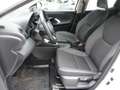 Toyota Yaris 1.5 Comfort Klima DAB Kamera SHZ AHK Alu Weiß - thumbnail 12