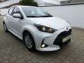 Toyota Yaris 1.5 Comfort Klima DAB Kamera SHZ AHK Alu Weiß - thumbnail 20