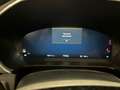 Ford Kuga 2.5 FHEV ACTIVE AUTO 5P Vert - thumbnail 14