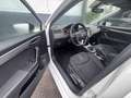 SEAT Ibiza 1.0 TGI FR Business Intense GARANTIE / APK / NAVI Weiß - thumbnail 13