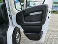 Fiat Ducato 160 Koffer LBW Weiß - thumbnail 10