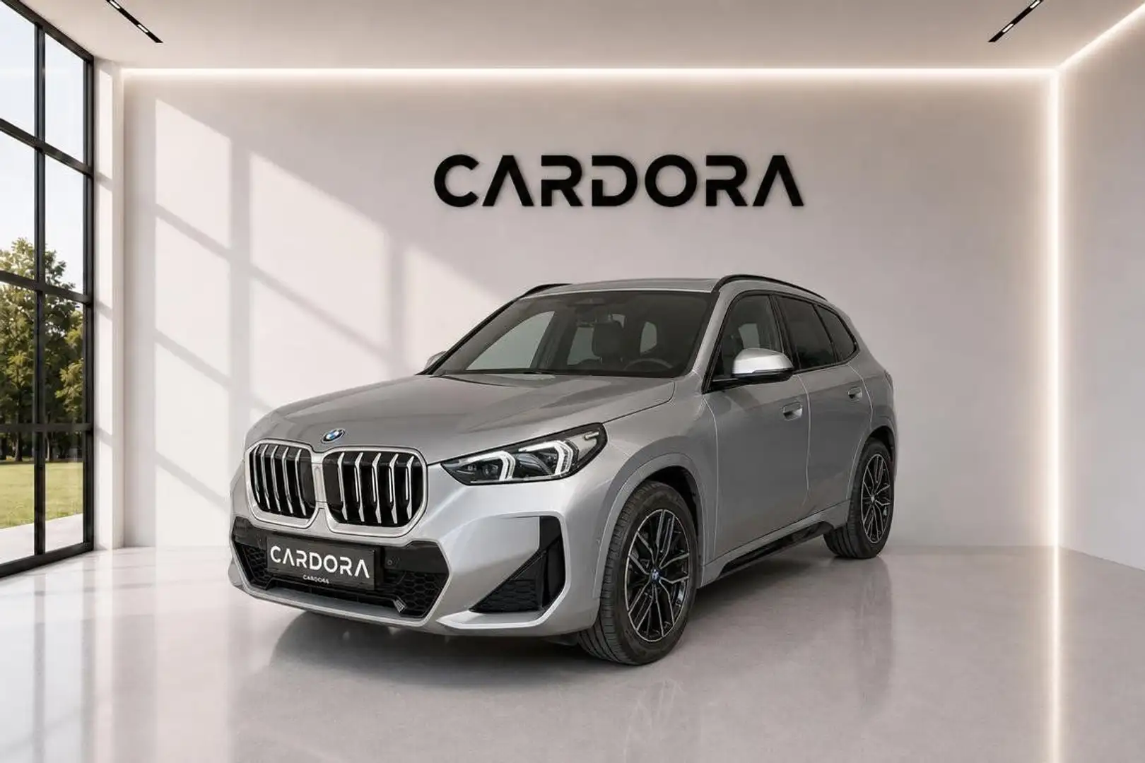 BMW X1 xDrive25e M-Paket LED*Leder*NAV*TEMP*RFK*Assisten Silber - 1