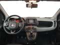 Fiat Panda III 2021 1.0 firefly hybrid City Life s&s 70cv 5p Bleu - thumbnail 11