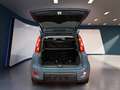 Fiat Panda III 2021 1.0 firefly hybrid City Life s&s 70cv 5p Bleu - thumbnail 8