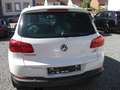Volkswagen Tiguan 1.4 TSI DSG BM  Club & Lounge Weiß - thumbnail 12