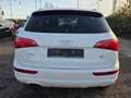 Audi Q5 2.0 TDI 125 kW quattro Automatik Xeonen LED Euro 5 Weiß - thumbnail 4