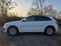 Audi Q5 2.0 TDI 125 kW quattro Automatik Xeonen LED Euro 5 Weiß - thumbnail 8