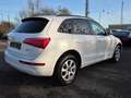 Audi Q5 2.0 TDI 125 kW quattro Automatik Xeonen LED Euro 5 Weiß - thumbnail 5