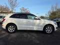 Audi Q5 2.0 TDI 125 kW quattro Automatik Xeonen LED Euro 5 Weiß - thumbnail 7