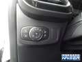 Ford Puma Titanium Design 1.0 EcoBoost Mild Hybrid Tageszula Weiß - thumbnail 12