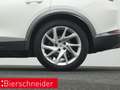 CUPRA Formentor 1.4 TSI DSG e-Hybrid AHK NAVI ACC Weiß - thumbnail 29