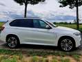 BMW X5 M X5 M50d B&O|AHK|PANO|Softclose|SH|360°|HUD|Night| Alb - thumbnail 1