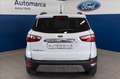 Ford EcoSport 1.0 ecoboost Titanium s&s 125cv my20.25 Bianco - thumbnail 5
