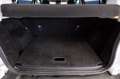 Ford EcoSport 1.0 ecoboost Titanium s&s 125cv my20.25 Bianco - thumbnail 6