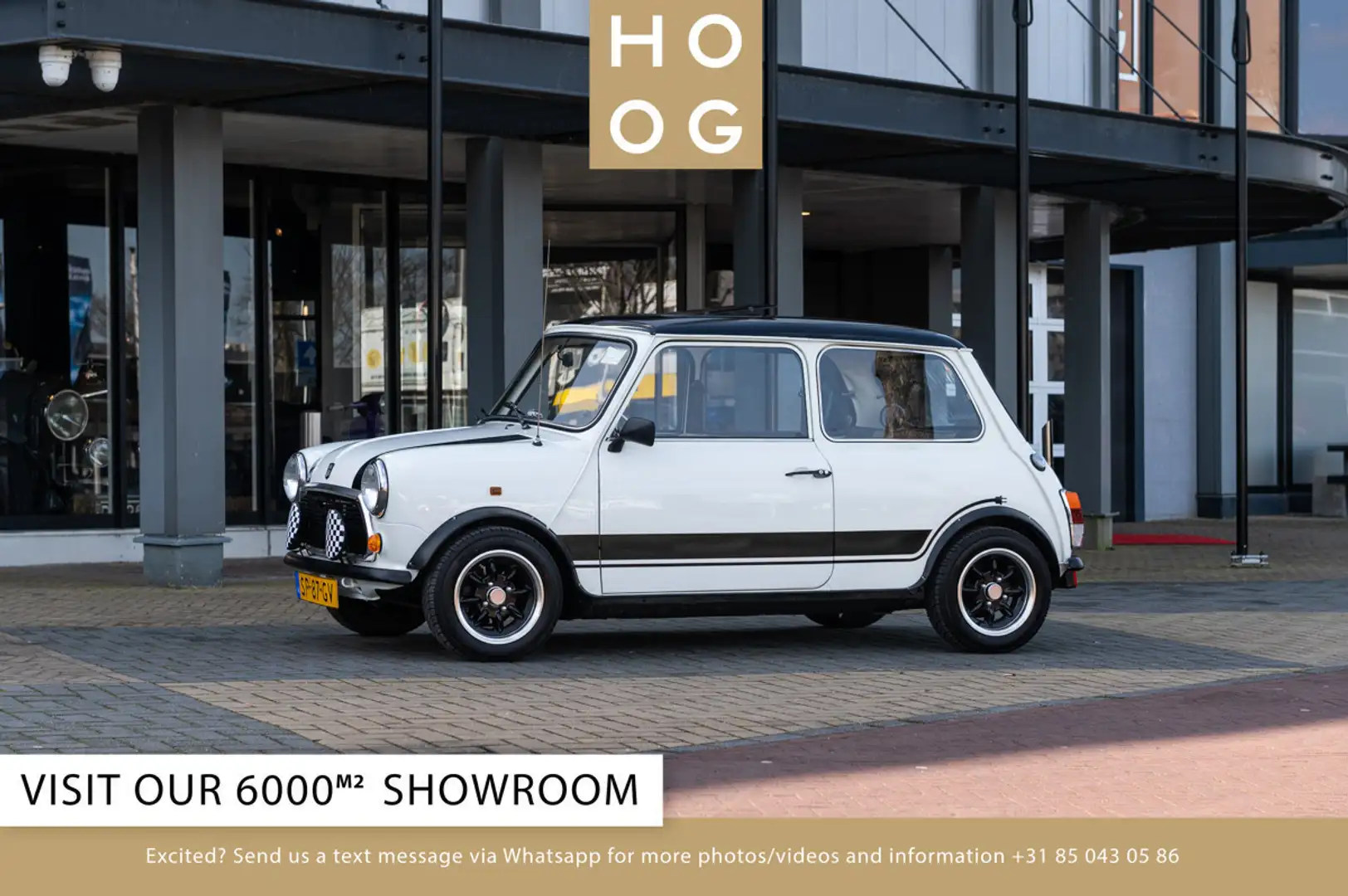 MINI 1000 100% electric Alb - 1