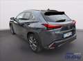 Lexus UX 200 UX Hybrid F Sport Gris - thumbnail 13