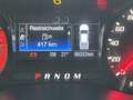 Ford Ranger Ranger Doppelkabine Raptor 4x4 2,0 EcoBlue Aut. Grau - thumbnail 13