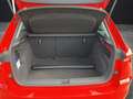 Skoda Kamiq TSI Drive-125 LED Climatronic GRA PDC SH LM Rot - thumbnail 14