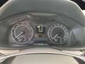 Skoda Kamiq TSI Drive-125 LED Climatronic GRA PDC SH LM Rot - thumbnail 19
