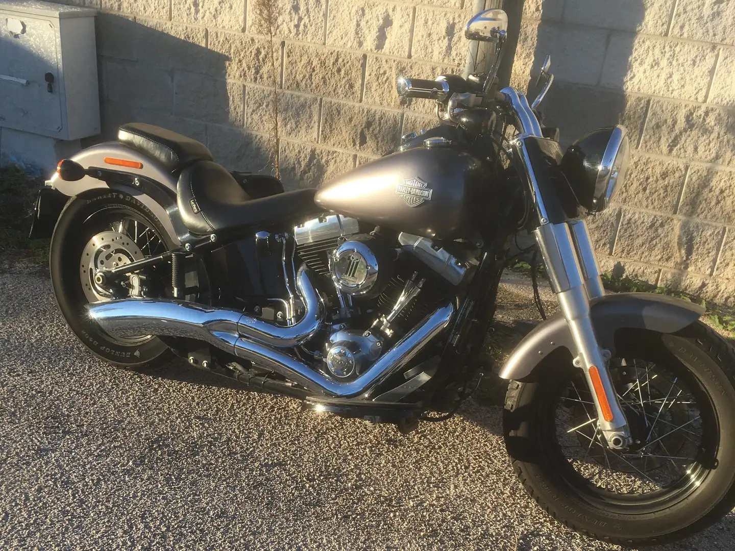 Harley-Davidson Softail Slim 103 con ABS Szary - 1