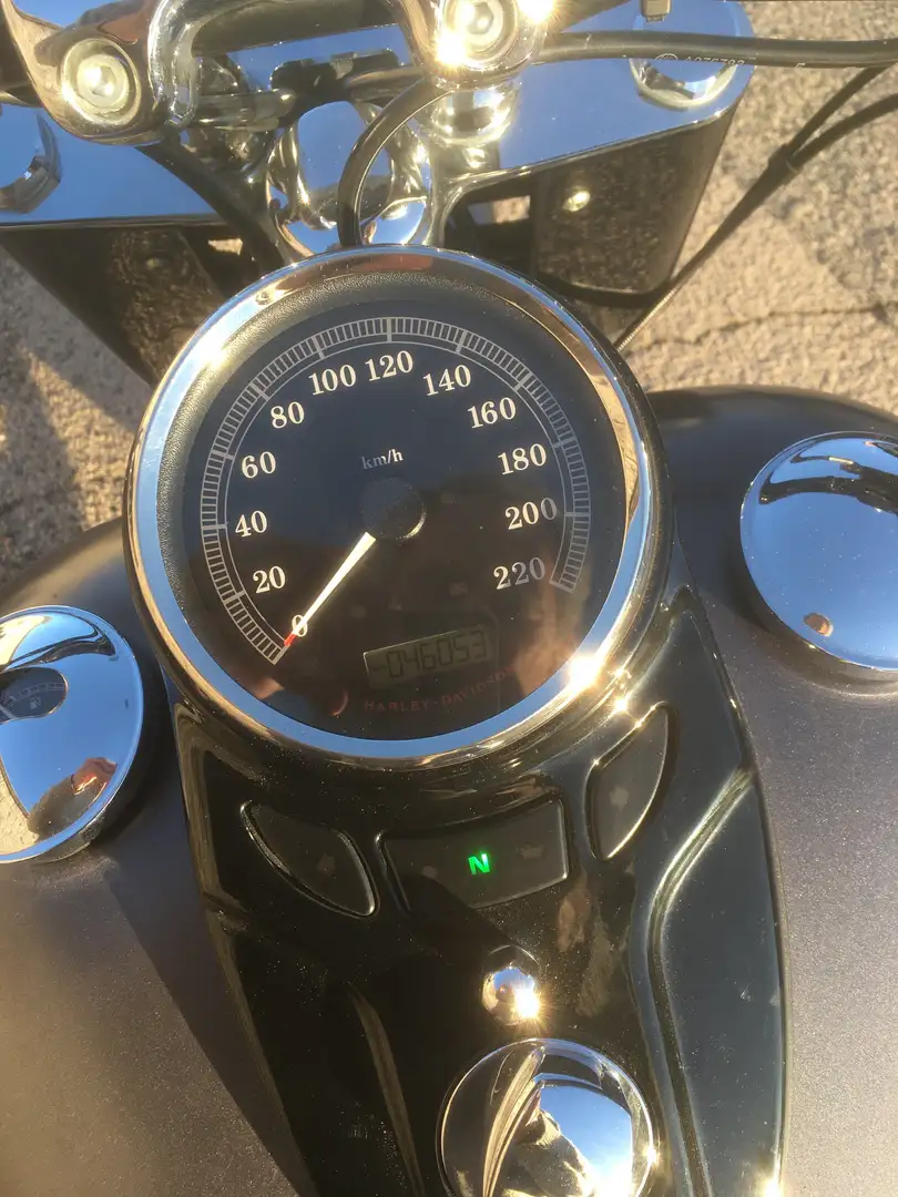 Harley-Davidson Softail Slim 103 con ABS Szary - 2