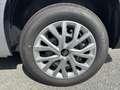 Fiat Doblo L2 Kombi N1 131PS AT8 Silber - thumbnail 25