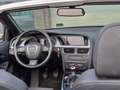 Audi A5 Cabriolet 1.8 TFSI | S-line | Xenon | Volledig Ond Beige - thumbnail 19