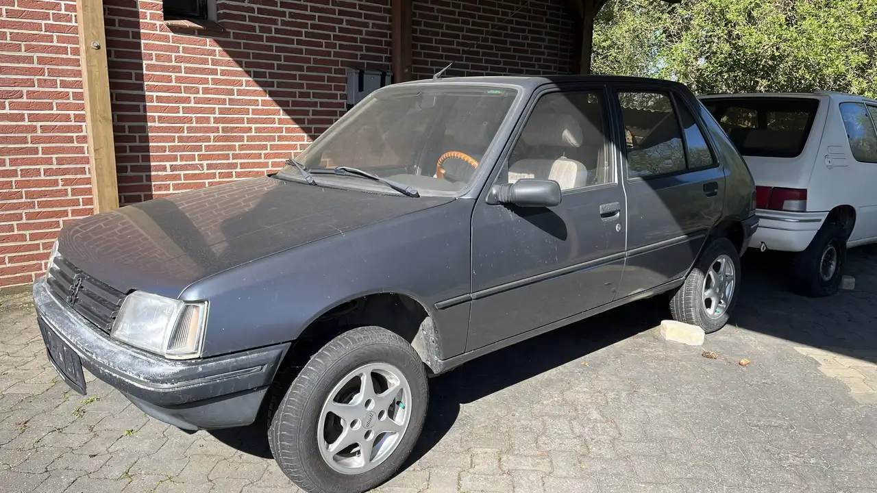Peugeot 205 GR, foto 2