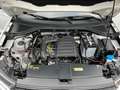 Volkswagen T-Roc 1.0 TSI OPF UNITED*Navi*SHZ*PDC*GRA*LMF* - thumbnail 15