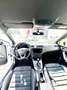 SEAT Arona 1,0 Eco TSI FR Austria DSG Weiß - thumbnail 8