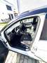 SEAT Arona 1,0 Eco TSI FR Austria DSG Weiß - thumbnail 9