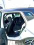SEAT Arona 1,0 Eco TSI FR Austria DSG Weiß - thumbnail 10
