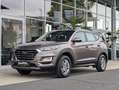 Hyundai TUCSON Brun - thumbnail 2